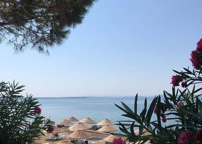 Ayvalik Goemec Garden Floor 펜션 Gomec